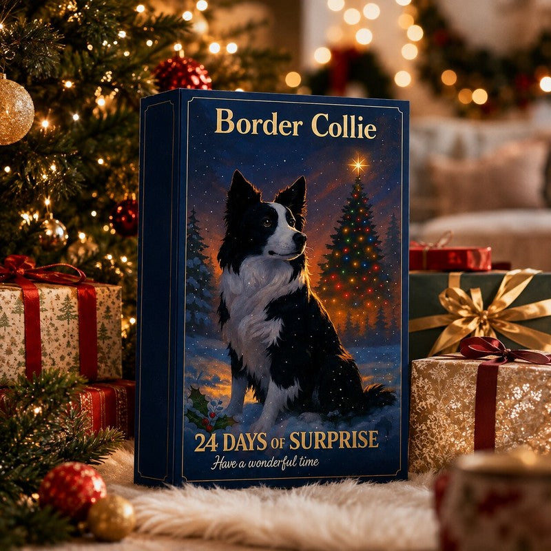 Calendrier de l&